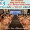 gia-bong-kich-no