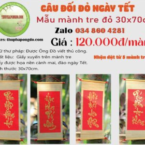 cau-doi-do-ngay-tet