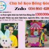 chu-he-keo-bong-gon-ha-noi