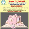 trang-tri-thoi-noi-be-gai-chu-de-gau-teddy-tone-hong
