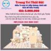 trang-tri-thoi-noi-be-gai-chu-de-gau-teddy
