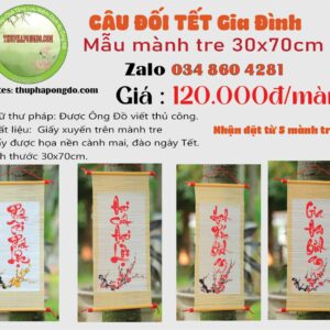 cau-doi-tet-gia-dinh