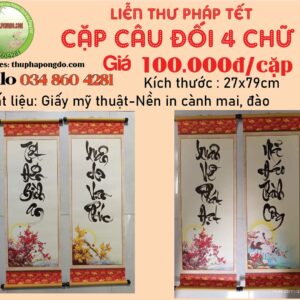 cap-cau-doi-lien-thu-phap