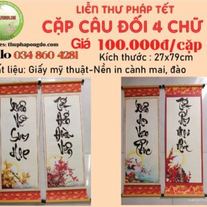 cap-cau-doi-lien-thu-phap