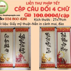 cap-cau-doi-lien-thu-phap