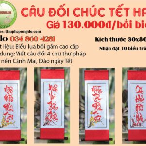 cau-doi-chuc-tet-hay