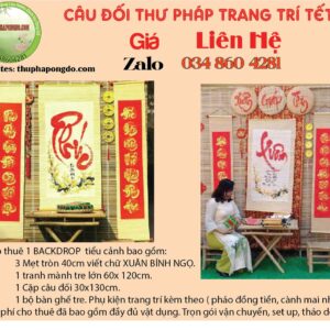 cau-doi-trang-tri-tet-xuan-binh-ngo-2026