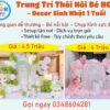 background-thoi-noi-be-gai-tuoi-ran