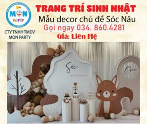trang-tri-sinh-nhat-chu-de-be-soc