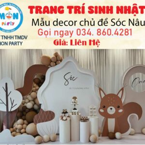 trang-tri-sinh-nhat-chu-de-be-soc