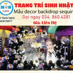 mau-sinh-nhat-nguoi-lon-sequin
