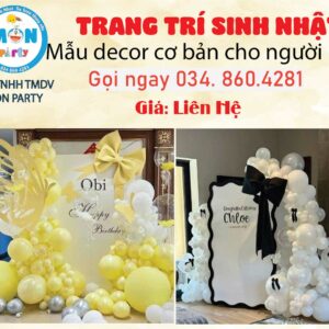 cach-lua-chon-goi-trang-tri-sinh-nhat-sep