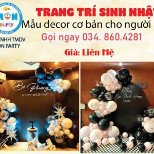 trang-tri-sinh-nhat-sep