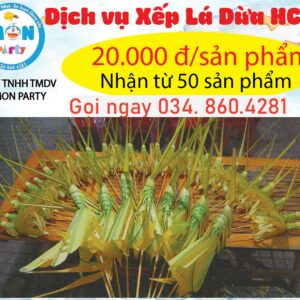 dich-vu-xep-la-dua-hcm