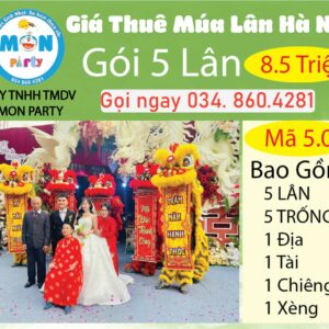 goi-mua-5-lan-ha-noi-8-trieu-5