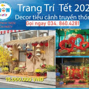 dich-vu-decor-tieu-canh-tet-hcm
