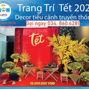 dich-vu-decor-tieu-canh-tet-tron-goi