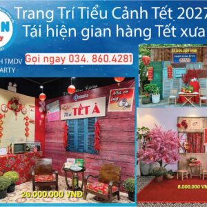 trang-tri-tieu-canh-tet-xua
